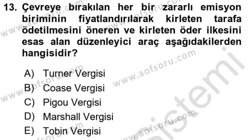 Doğal Kaynaklar ve Çevre Ekonomisi Dersi 2023 - 2024 Yılı Yaz Okulu Sınavı 13. Soru