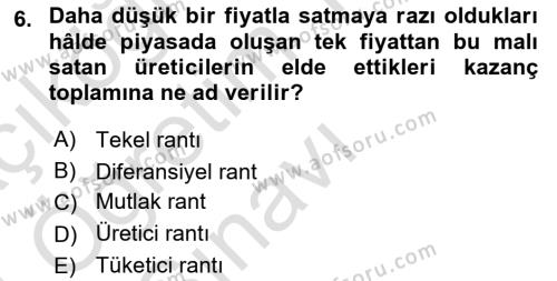 Doğal Kaynaklar ve Çevre Ekonomisi Dersi 2023 - 2024 Yılı Yaz Okulu Sınavı 6. Soru