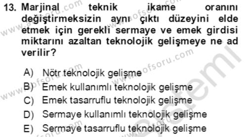 Mikro İktisat Dersi 2019 - 2020 Yılı (Vize) Ara Sınavı 13. Soru