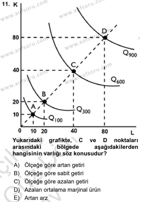 Mikro İktisat Dersi 2024 - 2025 Yılı (Vize) Ara Sınavı 11. Soru