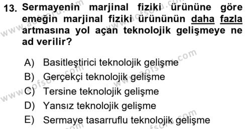 Mikro İktisat Dersi 2024 - 2025 Yılı (Vize) Ara Sınavı 13. Soru