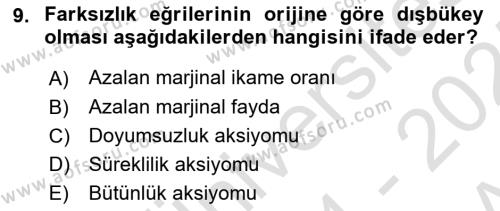 Mikro İktisat Dersi 2024 - 2025 Yılı (Vize) Ara Sınavı 9. Soru