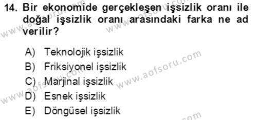 Makro İktisat Dersi 2021 - 2022 Yılı (Final) Dönem Sonu Sınavı 14. Soru