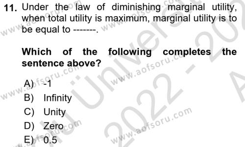 Microeconomic Theory Dersi 2022 - 2023 Yılı (Vize) Ara Sınavı 11. Soru