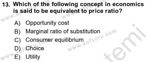 Microeconomic Theory Dersi 2022 - 2023 Yılı (Vize) Ara Sınavı 13. Soru