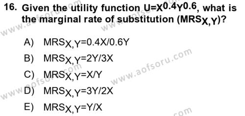 Microeconomic Theory Dersi 2022 - 2023 Yılı (Vize) Ara Sınavı 16. Soru