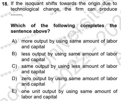 Microeconomic Theory Dersi 2022 - 2023 Yılı (Vize) Ara Sınavı 18. Soru
