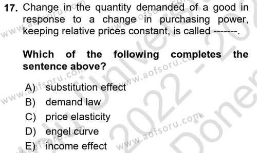 Microeconomic Theory Dersi 2022 - 2023 Yılı (Final) Dönem Sonu Sınavı 17. Soru