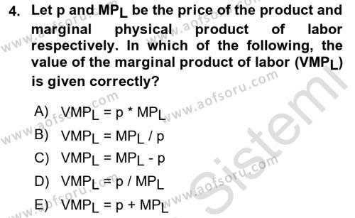 Microeconomic Theory Dersi 2022 - 2023 Yılı (Final) Dönem Sonu Sınavı 4. Soru