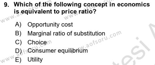 Microeconomic Theory Dersi 2022 - 2023 Yılı (Final) Dönem Sonu Sınavı 9. Soru