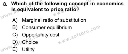 Microeconomic Theory Dersi 2022 - 2023 Yılı Yaz Okulu Sınavı 8. Soru