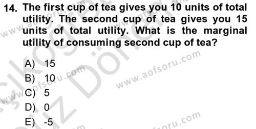 Microeconomic Theory Dersi 2023 - 2024 Yılı (Vize) Ara Sınavı 14. Soru