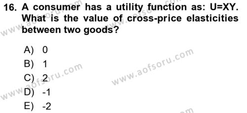 Microeconomic Theory Dersi 2023 - 2024 Yılı (Vize) Ara Sınavı 16. Soru