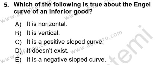 Microeconomic Theory Dersi 2023 - 2024 Yılı (Vize) Ara Sınavı 5. Soru