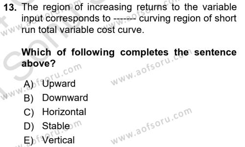 Microeconomic Theory Dersi 2023 - 2024 Yılı (Final) Dönem Sonu Sınavı 13. Soru