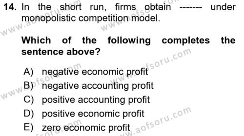 Microeconomic Theory Dersi 2023 - 2024 Yılı (Final) Dönem Sonu Sınavı 14. Soru