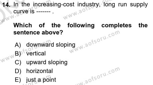 Microeconomic Theory Dersi 2023 - 2024 Yılı Yaz Okulu Sınavı 14. Soru
