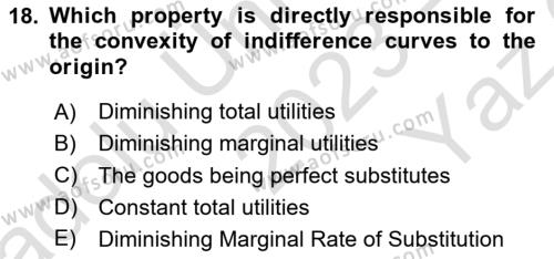 Microeconomic Theory Dersi 2023 - 2024 Yılı Yaz Okulu Sınavı 18. Soru