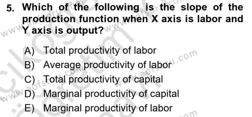 Microeconomic Theory Dersi 2023 - 2024 Yılı Yaz Okulu Sınavı 5. Soru