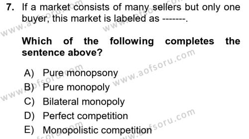 Microeconomic Theory Dersi 2023 - 2024 Yılı Yaz Okulu Sınavı 7. Soru