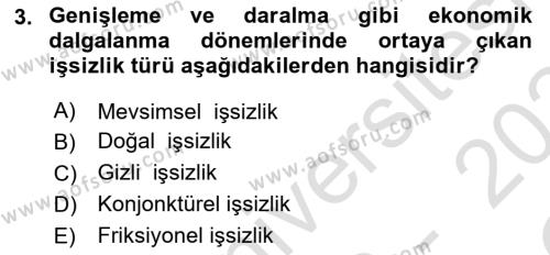 Turizm Ekonomisi Dersi 2023 - 2024 Yılı Yaz Okulu Sınavı 3. Soru