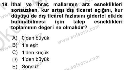 Uluslararası İktisat Dersi 2020 - 2021 Yılı Yaz Okulu Sınavı 18. Soru