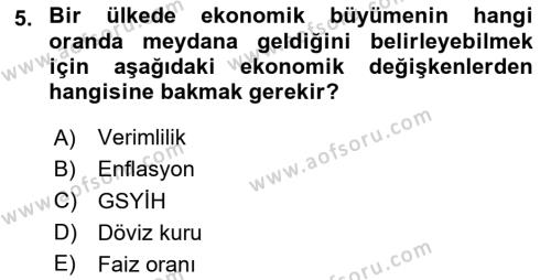 Uluslararası İktisat Dersi 2020 - 2021 Yılı Yaz Okulu Sınavı 5. Soru