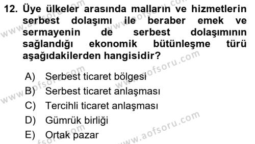 Uluslararası İktisat Dersi 2021 - 2022 Yılı (Final) Dönem Sonu Sınavı 12. Soru