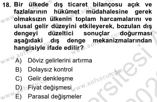 Uluslararası İktisat Dersi 2021 - 2022 Yılı (Final) Dönem Sonu Sınavı 18. Soru