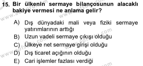 Uluslararası İktisat Dersi 2021 - 2022 Yılı Yaz Okulu Sınavı 15. Soru