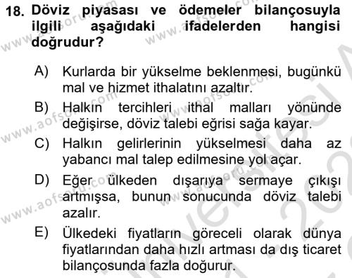 Uluslararası İktisat Dersi 2021 - 2022 Yılı Yaz Okulu Sınavı 18. Soru