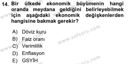 Uluslararası İktisat Dersi 2022 - 2023 Yılı (Vize) Ara Sınavı 14. Soru