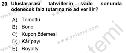 Uluslararası İktisat Dersi 2022 - 2023 Yılı (Vize) Ara Sınavı 20. Soru