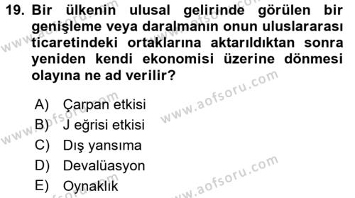 Uluslararası İktisat Dersi 2022 - 2023 Yılı Yaz Okulu Sınavı 19. Soru