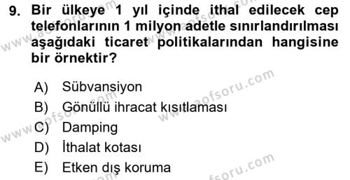 Uluslararası İktisat Dersi 2022 - 2023 Yılı Yaz Okulu Sınavı 9. Soru