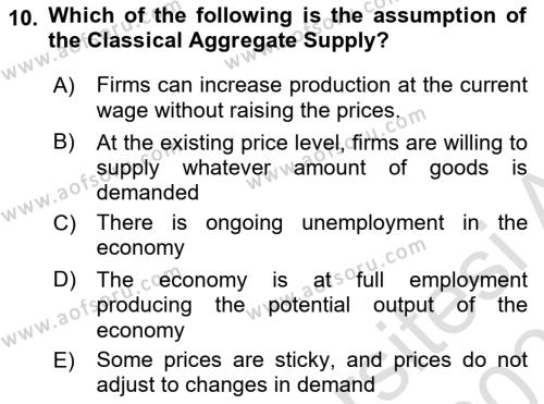 Macroeconomic Theory Dersi 2022 - 2023 Yılı Yaz Okulu Sınavı 10. Soru