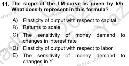Macroeconomic Theory Dersi 2022 - 2023 Yılı Yaz Okulu Sınavı 11. Soru