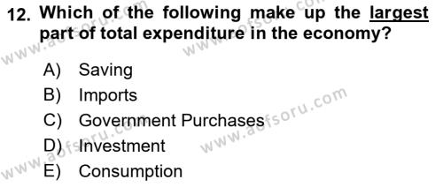 Macroeconomic Theory Dersi 2022 - 2023 Yılı Yaz Okulu Sınavı 12. Soru