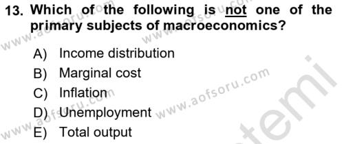 Macroeconomic Theory Dersi 2022 - 2023 Yılı Yaz Okulu Sınavı 13. Soru