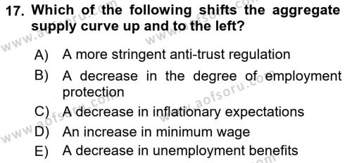 Macroeconomic Theory Dersi 2022 - 2023 Yılı Yaz Okulu Sınavı 17. Soru