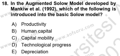 Macroeconomic Theory Dersi 2022 - 2023 Yılı Yaz Okulu Sınavı 18. Soru