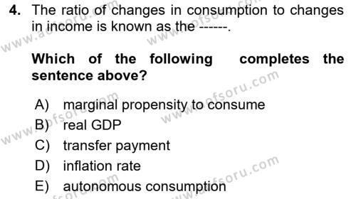 Macroeconomic Theory Dersi 2022 - 2023 Yılı Yaz Okulu Sınavı 4. Soru