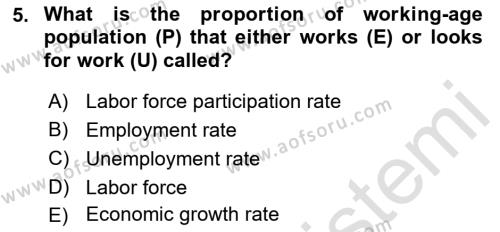 Macroeconomic Theory Dersi 2022 - 2023 Yılı Yaz Okulu Sınavı 5. Soru