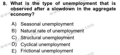 Macroeconomic Theory Dersi 2022 - 2023 Yılı Yaz Okulu Sınavı 8. Soru