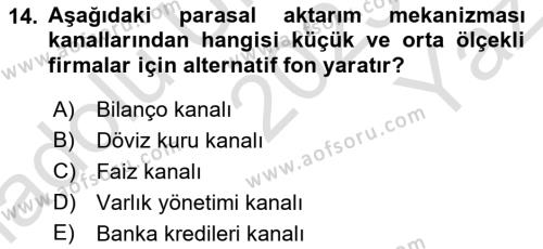 Para ve Banka Dersi 2023 - 2024 Yılı Yaz Okulu Sınavı 14. Soru