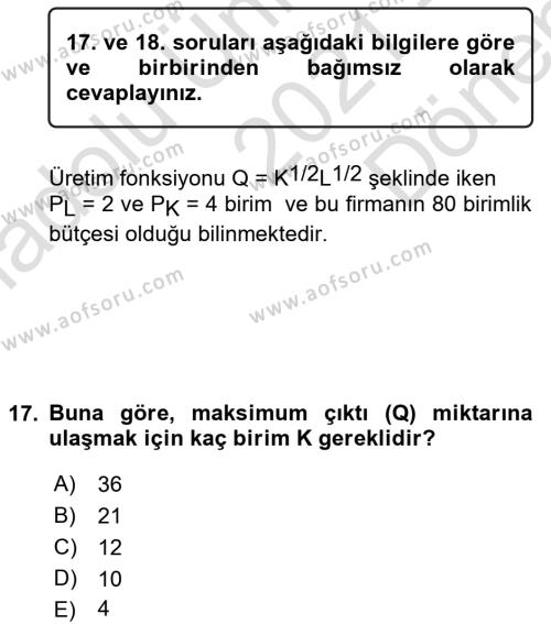 Matematiksel İktisat Dersi 2021 - 2022 Yılı (Final) Dönem Sonu Sınavı 17. Soru