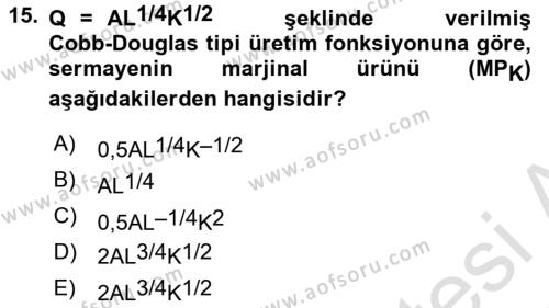 Matematiksel İktisat Dersi 2021 - 2022 Yılı Yaz Okulu Sınavı 15. Soru