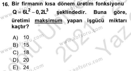 Matematiksel İktisat Dersi 2021 - 2022 Yılı Yaz Okulu Sınavı 16. Soru