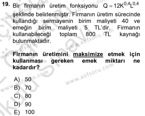 Matematiksel İktisat Dersi 2021 - 2022 Yılı Yaz Okulu Sınavı 19. Soru