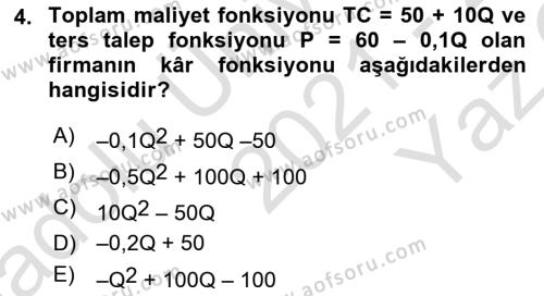 Matematiksel İktisat Dersi 2021 - 2022 Yılı Yaz Okulu Sınavı 4. Soru